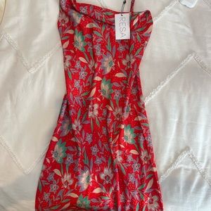 RESA Berri Slip in Baja silk maxi dress size xxs, never befote worn brand new